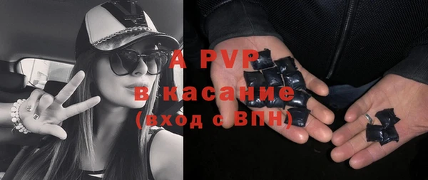 ПСИЛОЦИБИНОВЫЕ ГРИБЫ Абаза