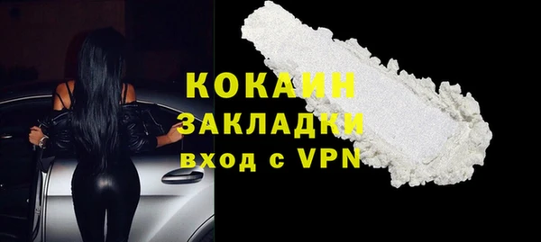 амф Новозыбков