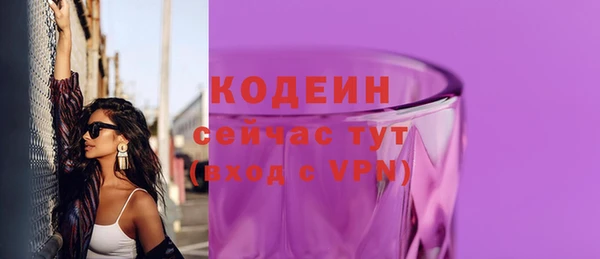 амф Новозыбков