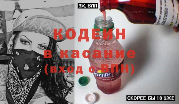 spice Инта