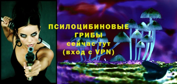 ПСИЛОЦИБИНОВЫЕ ГРИБЫ Абаза