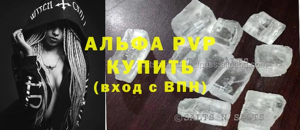 амф Новозыбков